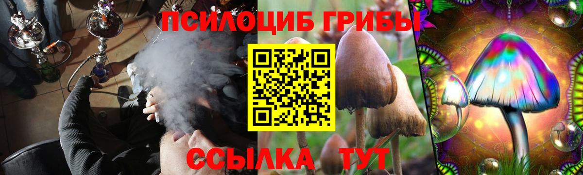 Кимовск  Галлюциногенные грибы MAGIC MUSHROOMS  купить   Псилоцибиновые грибы GOLDEN TEACHER  Вход с VPN 